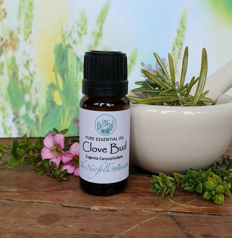 Clove Bud Essential Oil 10ml