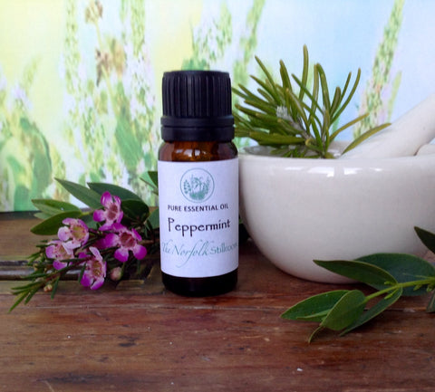 Peppermint Essential Oil 10ml