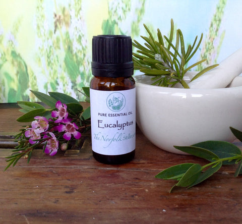 Eucalyptus Essential Oil 10ml