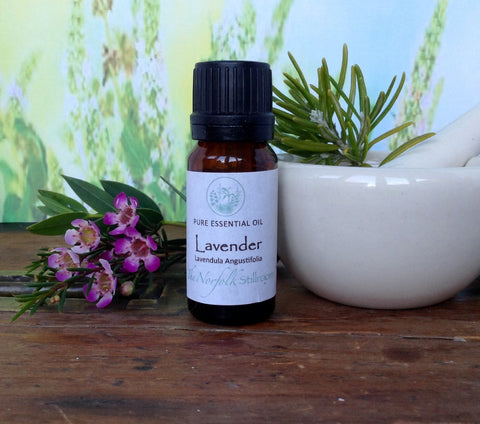 Lavender Essential Oil