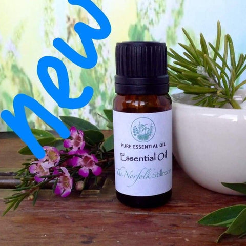 Thyme Essential Oil 10ml