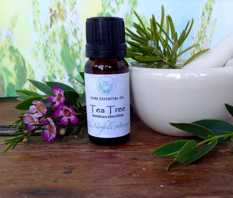 Tea Tree Essential Oil 10ml